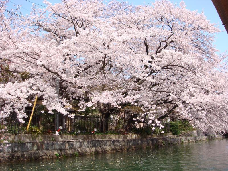 Отель The B Kyoto Sanjo Экстерьер фото